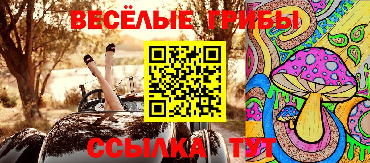 наркотики  Вход с VPN  Магадан  Галлюциногенные грибы MAGIC MUSHROOMS 